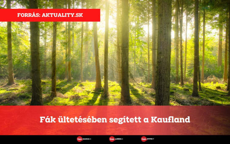 Fák ültetésében segített a Kaufland