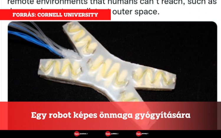 Egy robot képes önmaga gyógyítására