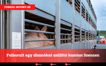 Felborult egy disznókat szállító kamion Szencen