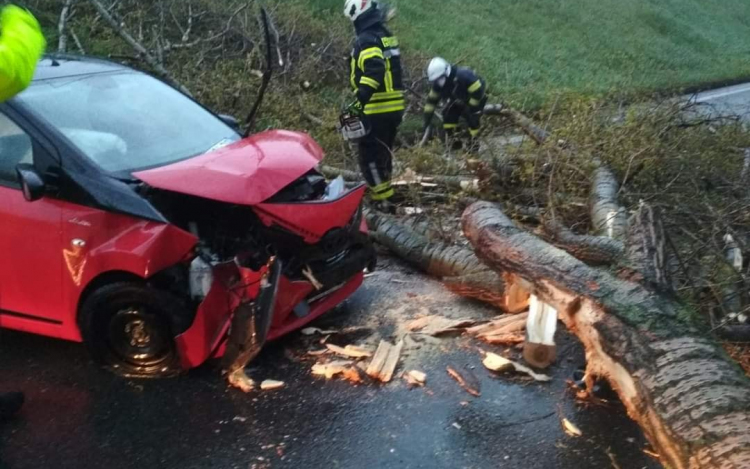 Az erős szél miatt 26 riasztást kaptak országosan a tűzoltók