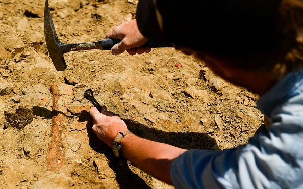 Tudomány: Evolúciós felfedezés Kínában