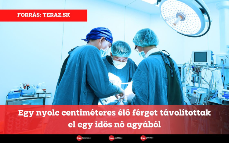 Egy nyolc centiméteres élő férget távolítottak el egy idős nő agyából