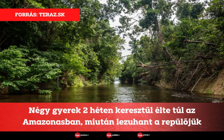 Négy gyerek 2 héten keresztül élte túl az Amazonasban, miután lezuhant a repülőjük