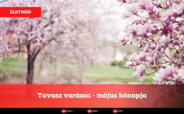 Tavasz varázsa - május hónapja