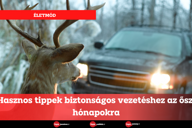 Hasznos tippek biztonságos vezetéshez az őszi hónapokra