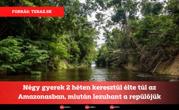 Négy gyerek 2 héten keresztül élte túl az Amazonasban, miután lezuhant a repülőjük