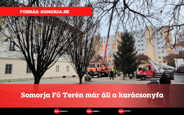 Somorja Fő Terén már áll a karácsonyfa