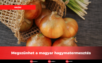 Megszűnhet a magyar hagymatermesztés