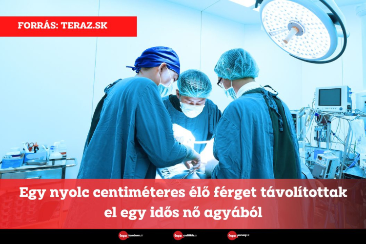 Egy nyolc centiméteres élő férget távolítottak el egy idős nő agyából