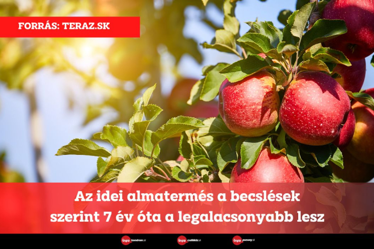 Az idei almatermés a becslések szerint 7 év óta a legalacsonyabb lesz