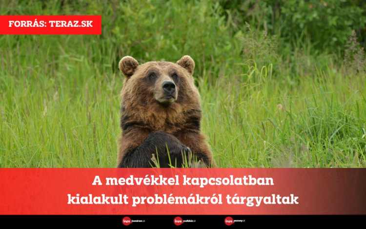 A medvékkel kapcsolatban kialakult problémákról tárgyaltak