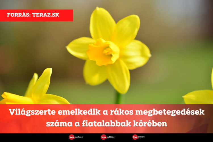 Világszerte emelkedik a rákos megbetegedések száma a fiatalabbak körében