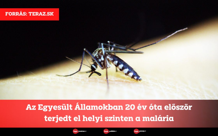 Az Egyesült Államokban 20 év óta először terjedt el helyi szinten a malária