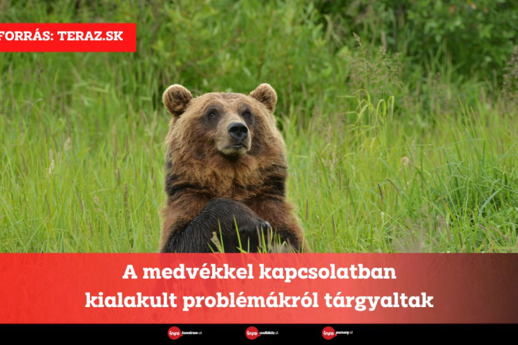 A medvékkel kapcsolatban kialakult problémákról tárgyaltak