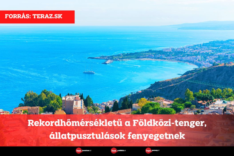 Rekordhőmérsékletű a Földközi-tenger, állatpusztulások fenyegetnek