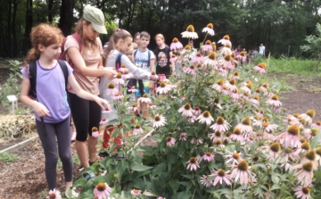 Somorja: befejeződött a Mosonherb-projekt