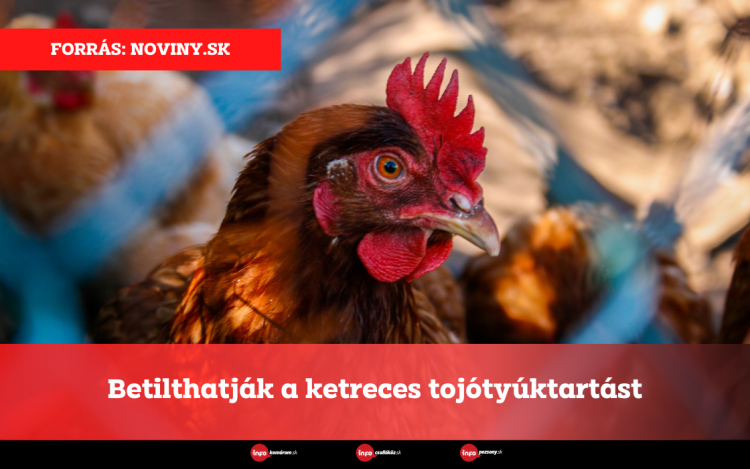 Betilthatják a ketreces tojótyúktartást