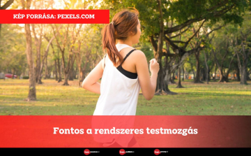 Fontos a rendszeres testmozgás