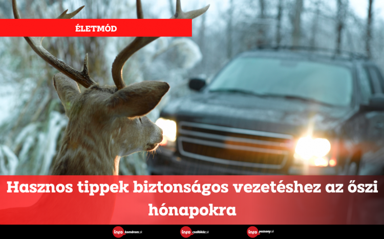 Hasznos tippek biztonságos vezetéshez az őszi hónapokra