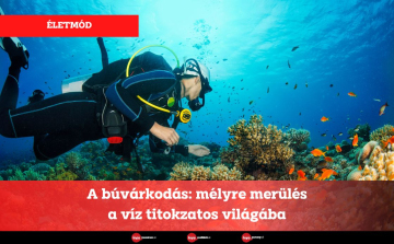 A búvárkodás: mélyre merülés a víz titokzatos világába