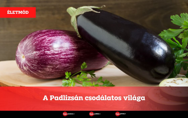 A Padlizsán csodálatos világa