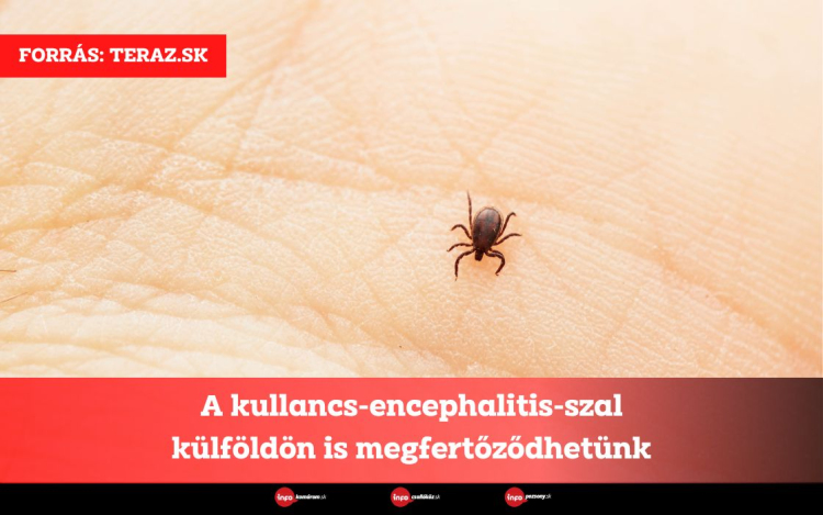 A kullancs-encephalitis-szal külföldön is megfertőződhetünk