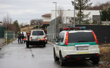 Pozsony: Hidegvérrel meggyilkolták egy volt maffiózó élettársát