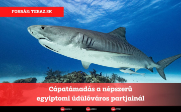 Cápatámadás a népszerű egyiptomi üdülőváros partjainál