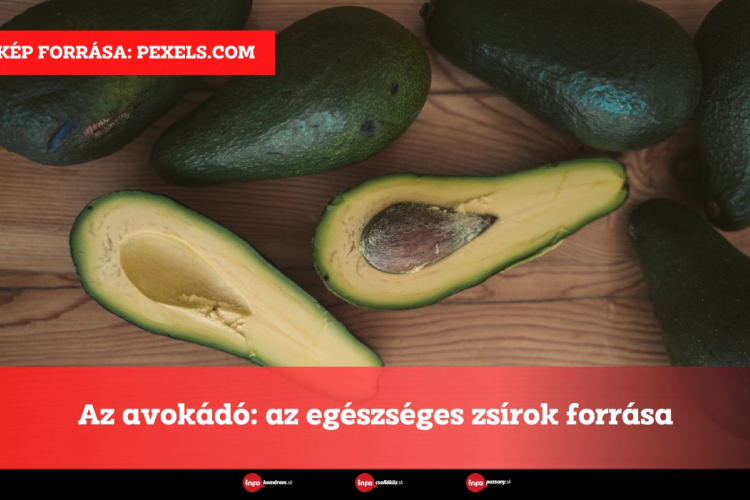 Az avokádó: az egészséges zsírok forrása