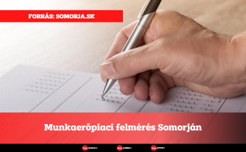 Munkaerőpiaci felmérés Somorján