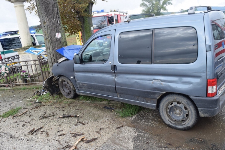 Rendőrség: Vádat emeltek az ittas sofőr ellen, aki egy útjelző táblába és egy fába hajtott