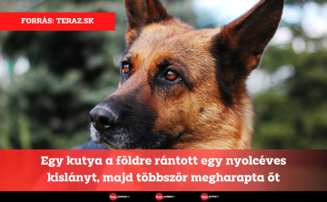 Egy kutya a földre rántott egy nyolcéves kislányt, majd többször megharapta őt