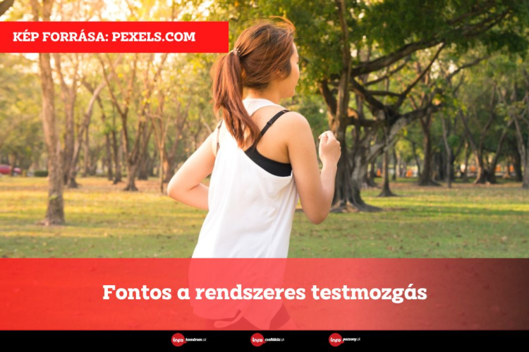 Fontos a rendszeres testmozgás