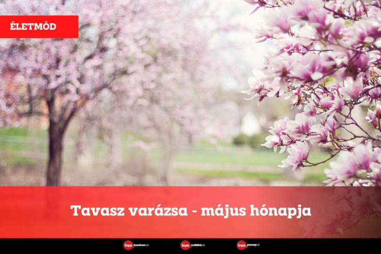 Tavasz varázsa - május hónapja