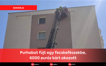 Purhabot fújt egy fecskefészekbe, 6000 eurós kárt okozott