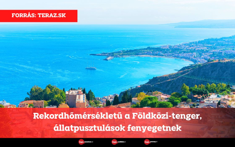 Rekordhőmérsékletű a Földközi-tenger, állatpusztulások fenyegetnek