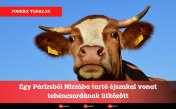 Egy Párizsból Nizzába tartó éjszakai vonat tehéncsordának ütközött