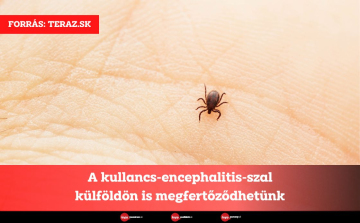 A kullancs-encephalitis-szal külföldön is megfertőződhetünk