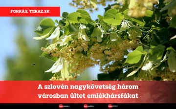 A szlovén nagykövetség három városban ültet emlékhársfákat