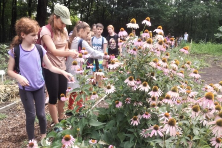 Somorja: befejeződött a Mosonherb-projekt