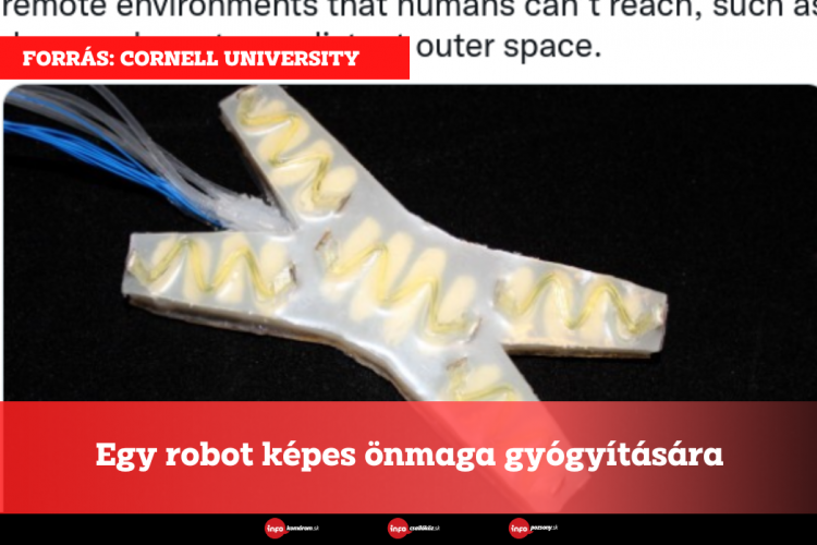 Egy robot képes önmaga gyógyítására