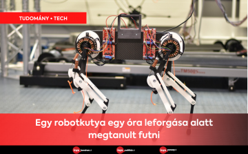 A robotkutya egy óra leforgása alatt megtanult futni