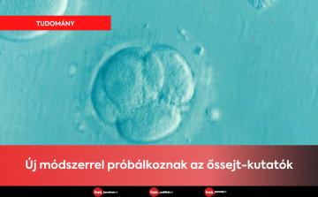 Új módszerrel próbálkoznak az őssejt-kutatók