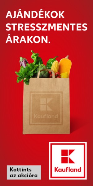 Kaufland banner 300x600 24-12